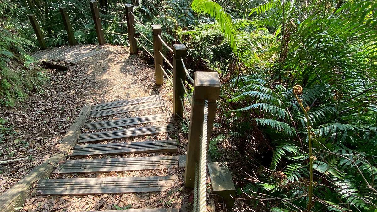 新北推野山林分享會 親子學登山、安全用離線地圖 打造山林教室 2 line oa chat 260727 144814