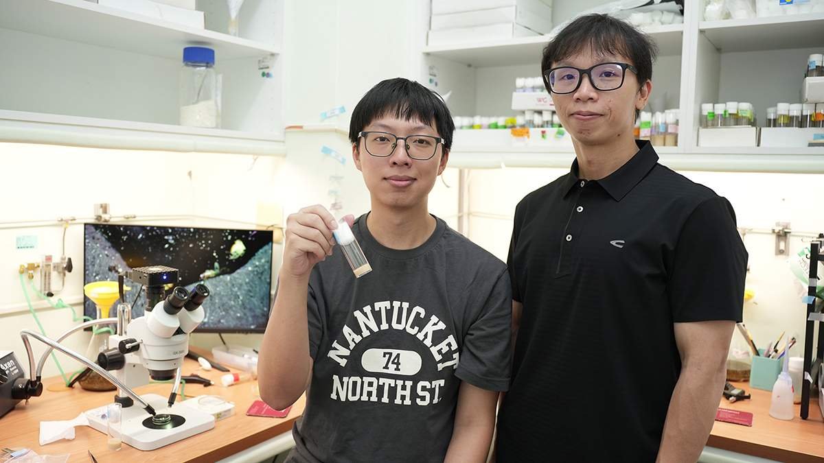 中興大學揭父親高齡生育新關鍵 精子幹細胞「老化環境」恐增子代疾病風險 5