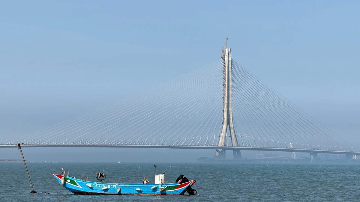 新北推3條綠色旅遊路線 登高賞淡江大橋、搭人力船遊碧潭一次玩遍山海文化 1 line oa chat 260909 183048