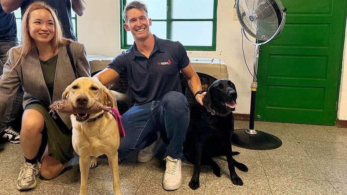 澳洲消防夥伴走訪台中市消防局搜救犬隊，近距離了解搜救犬的訓練及執勤工作。