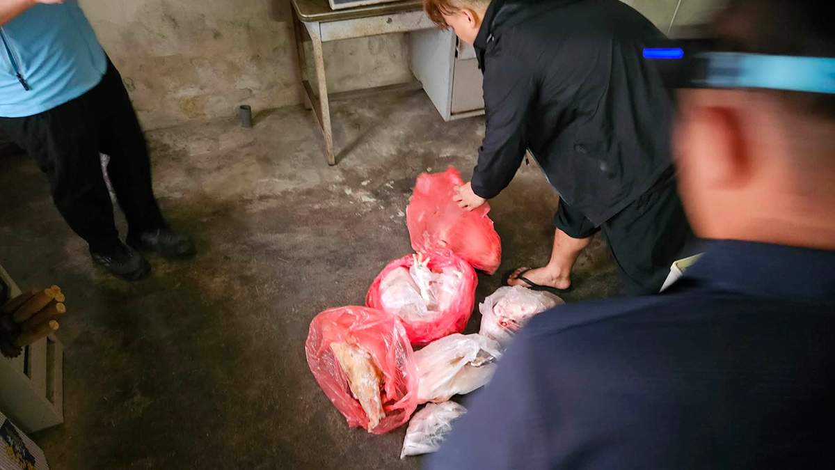 吳韋達與新竹縣流浪動物珍愛協會合作，颱風天聯手警方及動防所查緝鹿港疑似非法屠宰場。