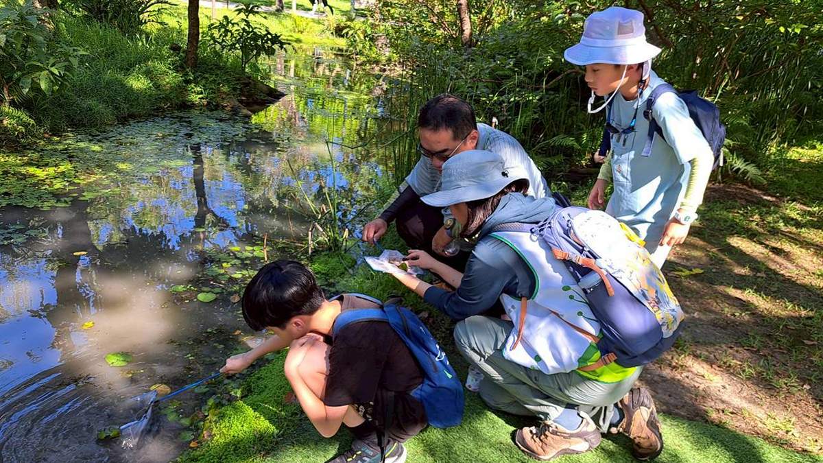 花兩年探索人生方向!廣告設計科畢業生洪沛潔跨域追夢 特殊選才進入中興昆蟲系 2 洪沛潔花兩年探索人生方向,從廣告設計跨入生態研究,透過特殊選才錄取中興大學昆蟲學系。