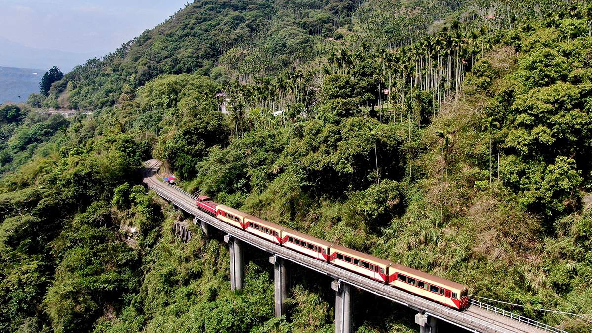 阿里山林鐵推出鄒族部落限定遊程，帶領旅客搭乘小火車深入傳統獵場，體驗古謠與山林野宴。